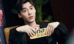 娱乐圈爆料客李易峰,娱乐圈爆料客的神秘面纱