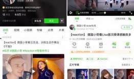 传媒圈老炮爆料视频,老炮爆料视频背后的惊人内幕